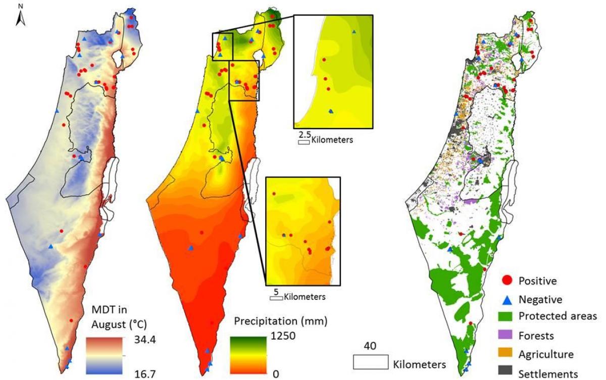 карта Израела климе